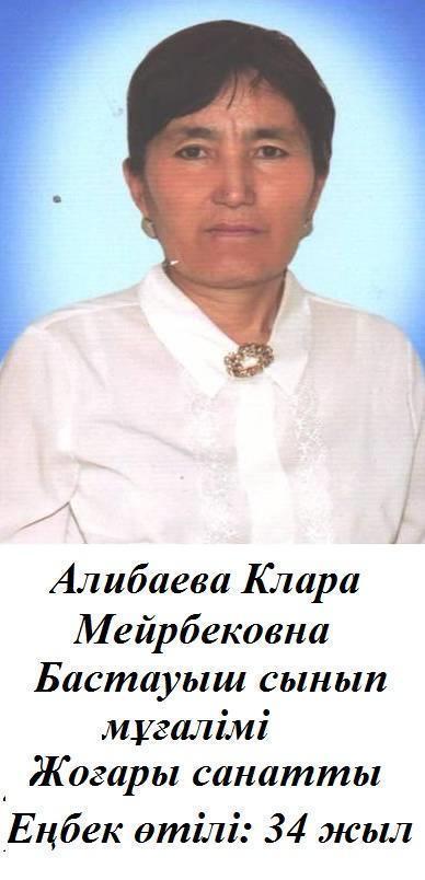 Бастауыш сынып мұғалімі